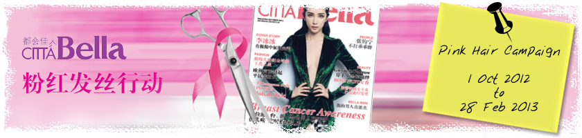 Pink Hair Campaign, 1 October 2012 to 28 February 2013