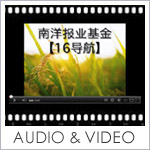 Audio and Video